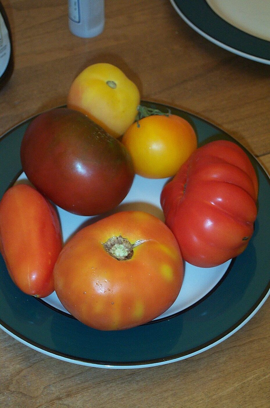 Ripe heirloom tomatoes (Solanum lycopersicum) of varied colors and shapes